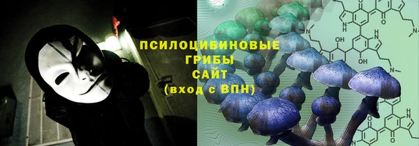 мдпв Абинск
