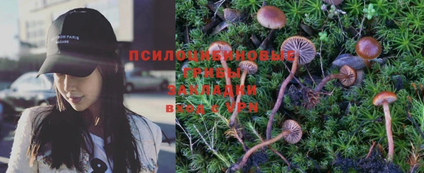 PSILOCYBIN Абаза