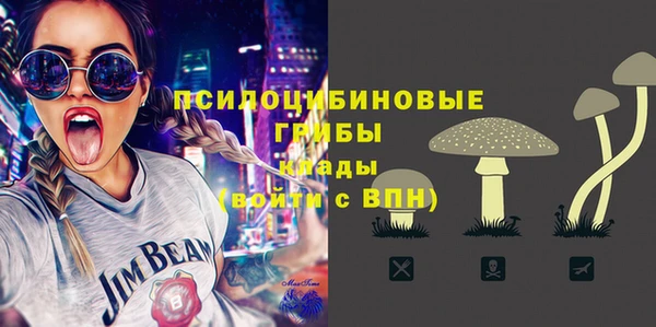 PSILOCYBIN Абаза