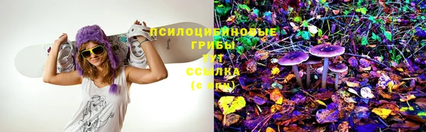 PSILOCYBIN Абаза