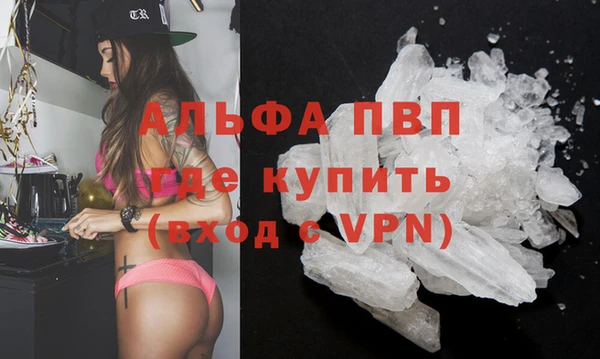 PSILOCYBIN Абаза