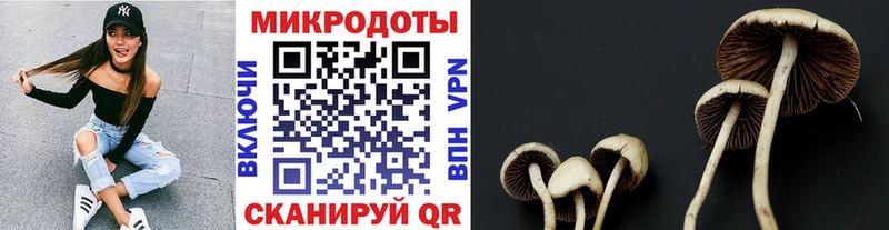 Галлюциногенные грибы мухоморы  блэк спрут   Мосальск  хочу  